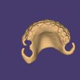 Clipboard-2024-12-21-00-36-39.jpg DIGITAL FLEXIBLE UPPER PARTIAL DENTURE  (3D models !!!) - 7 stl files for download)