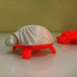 Tortue Spongieuse
