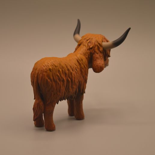 DSC_3660.jpg Cute Highlander