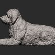 Goldendoodle-lies12.jpg Goldendoodle lies 3D printed model