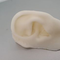 IMG-20230217-WA0001.jpg STL file Human Ear 3・3D print model to download