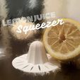 Enlight1.jpg Lemon Juice Squeezer Replacer