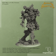 Treant-Angle.png Old Man of the Forest (Treant)