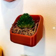 planter6.PNG 3D-Datei Kühlschrank-Pflanzgefäße kostenlos・Modell für 3D-Druck zum herunterladen
