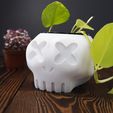20240229124128__MG_0325.2.jpg Cartoon Skull Planter Pot • Unique Home Decor