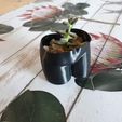 20200319_073143.jpg Butt Planter aka Torso Plant Pot
