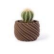 XXXX3298.jpg Cactus planter - Whirly