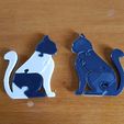 20190208_133836.jpg the "cat puzzle" keychain