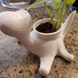 20190318_133044.jpg 3D file Dinosaur plant pot・3D printer model to download