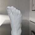 9.jpg Human foot