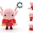 il_fullxfull.5749275027_ms2e.jpg Articulated Lunar New Year Axolotl by Cobotech, Articulated Axolotl , Fidget Toy, Home/Desk Decoration, Unique Gift