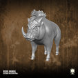 2.png Boar Animal 3D printable File for action figures