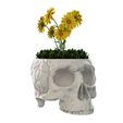 Low_08.jpg Skull Vase