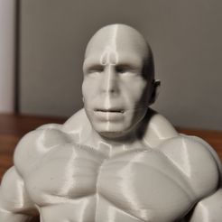 20220219_180350.jpg Archivo STL Swoledemort - Buff Voldemort・Diseño imprimible en 3D para descargar