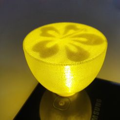 20221212_104224.jpg Free STL file HIBISCUS BOUFIOLE・3D printer model to download