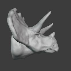 triceratopsside.png OBJ-Datei Triceratops Kopf Magnet・Design für 3D-Drucker zum herunterladen
