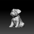 dog1.jpg Dog - cute dog - toy for kids - decorative dog 3d model for download