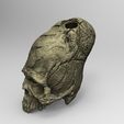 untitled.26.jpg Paracas elongated skull