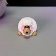 IMG_3955.jpg Cute Sheep
