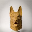20220108_101835.jpg German Sheperd Bust/Head