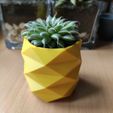 IMG_20210213_145954.jpg Low Poly Pineapple Mini Cactus Pot