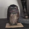 117888216_3190061424441845_885543186570571188_o.jpg Critters