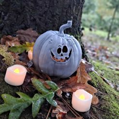 IMG_20231031_151645_719.jpg Jack o Lantern - Happy Pumpkin