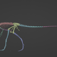 Schermafbeelding-2023-03-13-153700.png Compsognatus life size skeleton