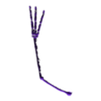 R-Leg_v1.stl Pteranodon Skeleton