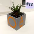 PSX_20211115_181413.jpg Ojing-eo Geim, Squid Game, small planter, pot stl file for 3d printing. Window, small, cute planter 3d print file, Indoor plant pot.