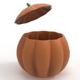 untitled.5788.jpg pumpkin pot