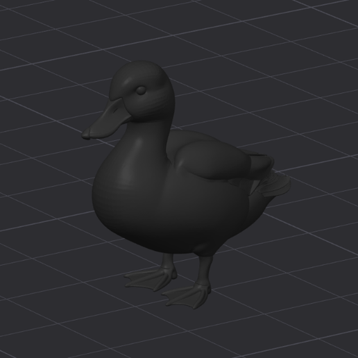 DUCK