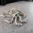 IMG_7976.jpg Articulated Skeleton Octopus