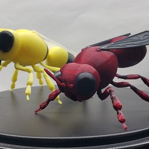 Pilot® WASP 3D model