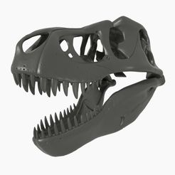 7-2000x2000.jpg T-rex skull