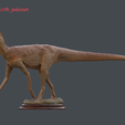 R.png Silesaurus opolensis