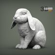 rabbit-ram-1.jpg Rabbit ram 3D print model
