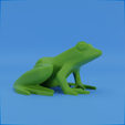 0009.png Frog stylized