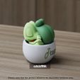 Treecko-chill-cup-from-pokemon-3.jpg Treecko chill cup