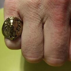 ring-lion2.jpg lion ring