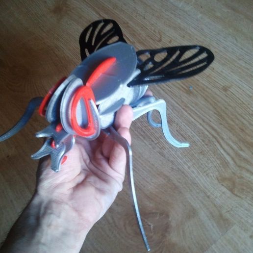 IMG_20120801_171616_Copiar_display_large.jpg Puzzle Mosca - Fly Puzzle