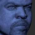 29.jpg Ice Cube bust 3D printing ready stl obj formats