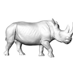 1.jpg STL file Rhinoceros・Model to download and 3D print, Phil-creation