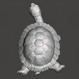 Turtle-Figurine-Pic-6.jpg Turtle Figurine
