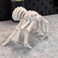IMG_6851.jpg Flexi Skeleton Spider V2