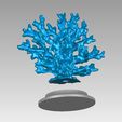 mercan_rev1_2.jpg plantadores de coral