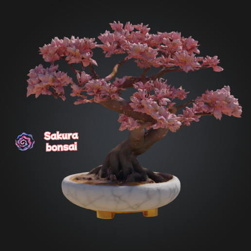 flaschengarten mit bonsai Terrarium DIY Set - Kreiere dein eigenes Mini-Ökosystem