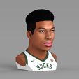 untitled.1940.jpg Giannis Antetokounmpo bust ready for full color 3D printing