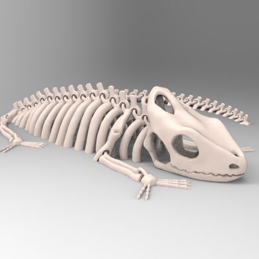 CHAMELEON - ARTICULATED - FLEXIBLE 3D model