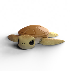 2.png Sea Turtle